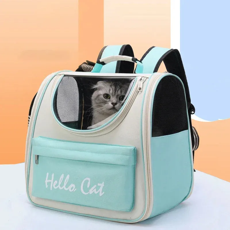 Portable Transparent Backpack